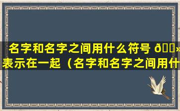 名字和名字之间用什么符号 🌻 表示在一起（名字和名字之间用什么符号表示在一起的意思）